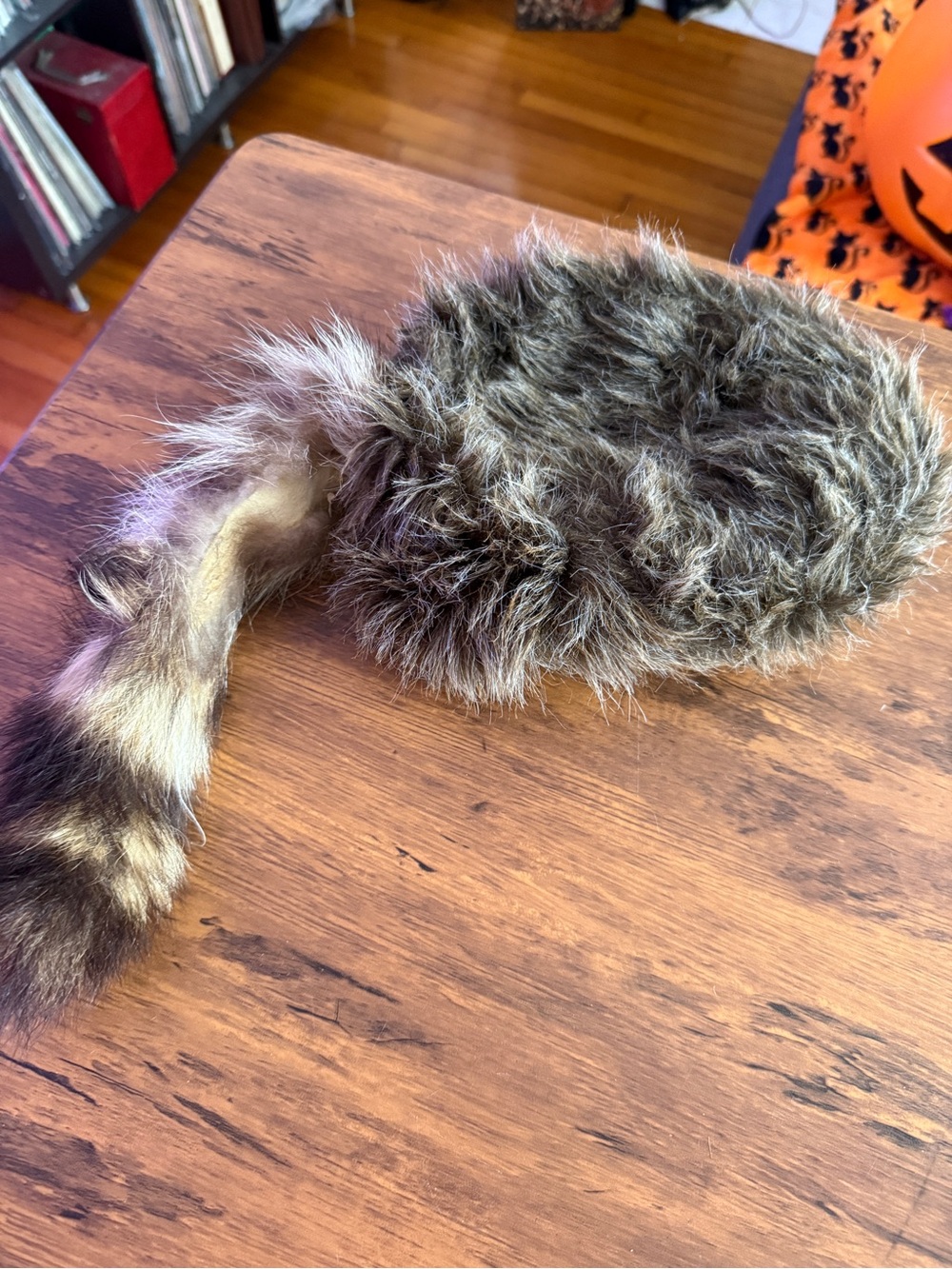 traditional coonskin cap adult vintage hat